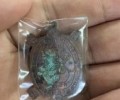 帕阿贊賽川（龍婆柳弟子，現(xiàn)任寺廟住持）2554一期財龜