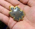 龍婆坤和龍婆柳共同加持的2538年大腳財(cái)龜