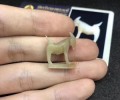 龍婆甩全泰第二招財(cái)山羊