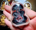 阿贊初2549年大金塊 納?迦 澤鍍金