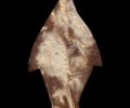 龍婆絕2530年椰?殼拉胡