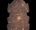 龍?婆遮 253?0年 蜂王拉胡 獨眼椰?殼雕刻